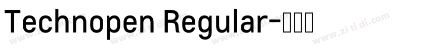 Technopen Regular字体转换
